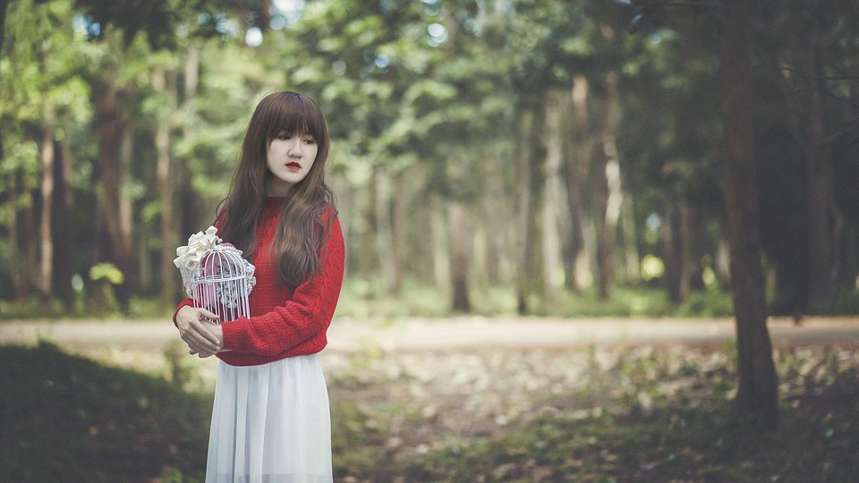 girl-1733336_960_720